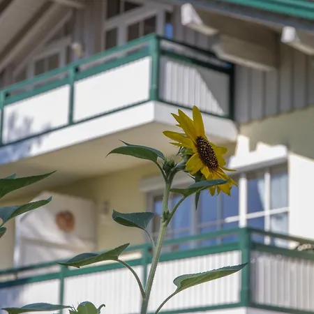 Alte Saege - Chiemgau Karte *